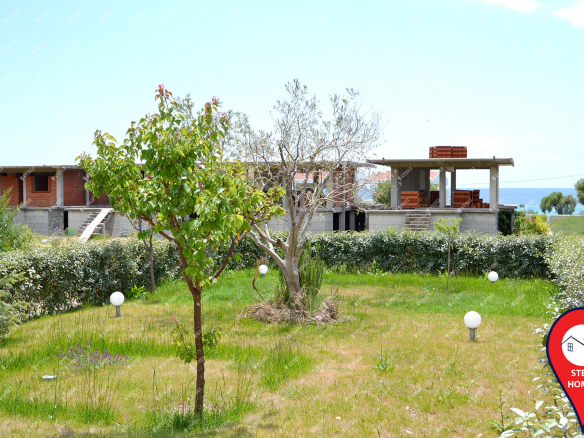 Dsc 0384